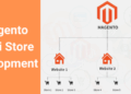 Things You Need to Know about Magento Multi-Store Development