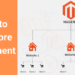 Things You Need to Know about Magento Multi-Store Development
