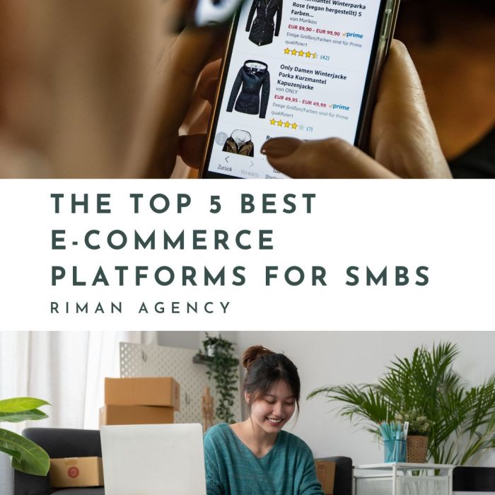 The Top 5 Best E-commerce Platforms for SMBs - Riman Agency The Top 5 Best E-commerce Platforms for SMBs - Riman Agency